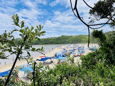 Guests with gazebos on the beach at Yellow Sands during the festive season